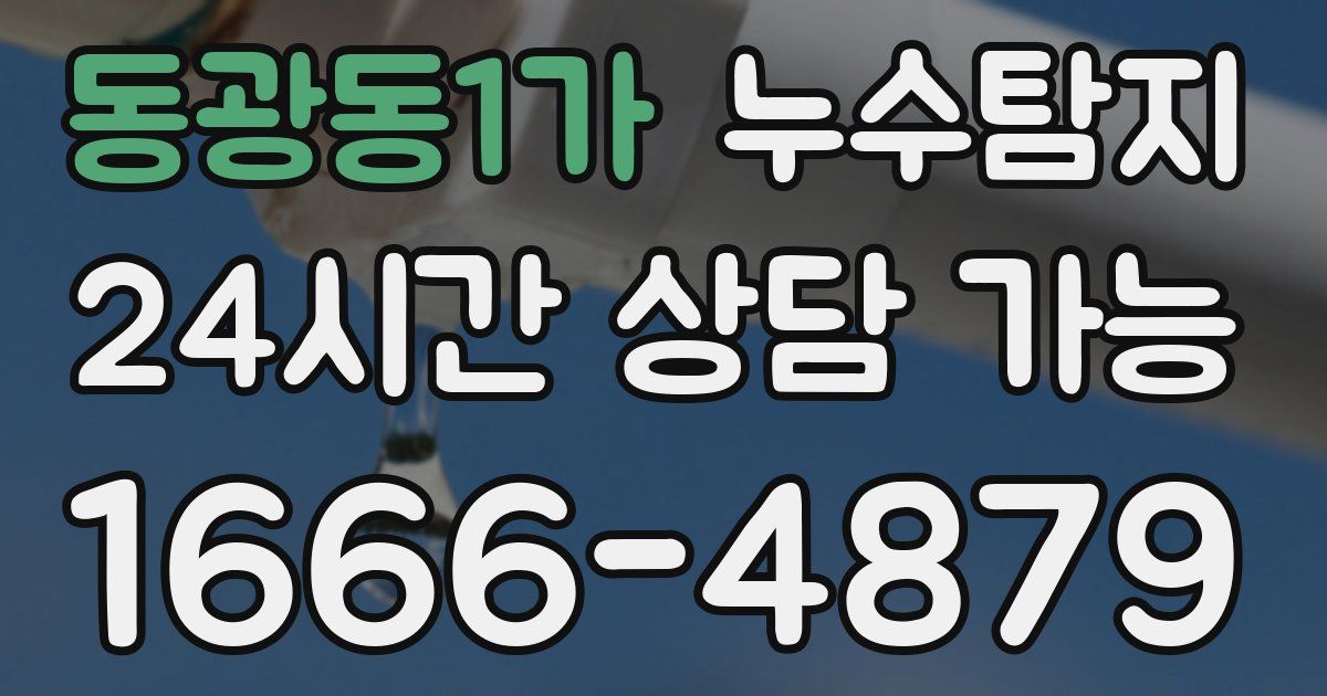 동광동1가 누수