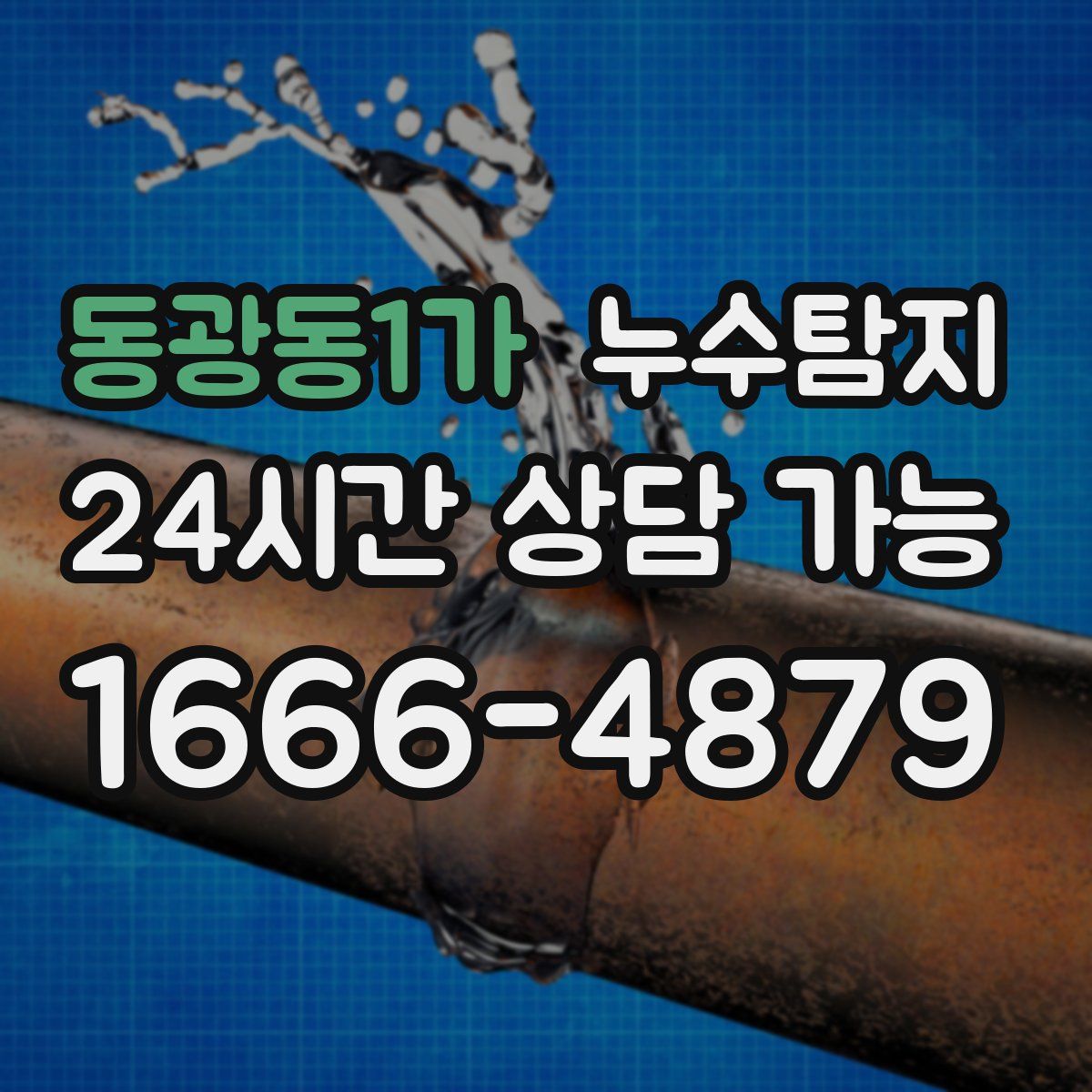 동광동1가 누수탐지