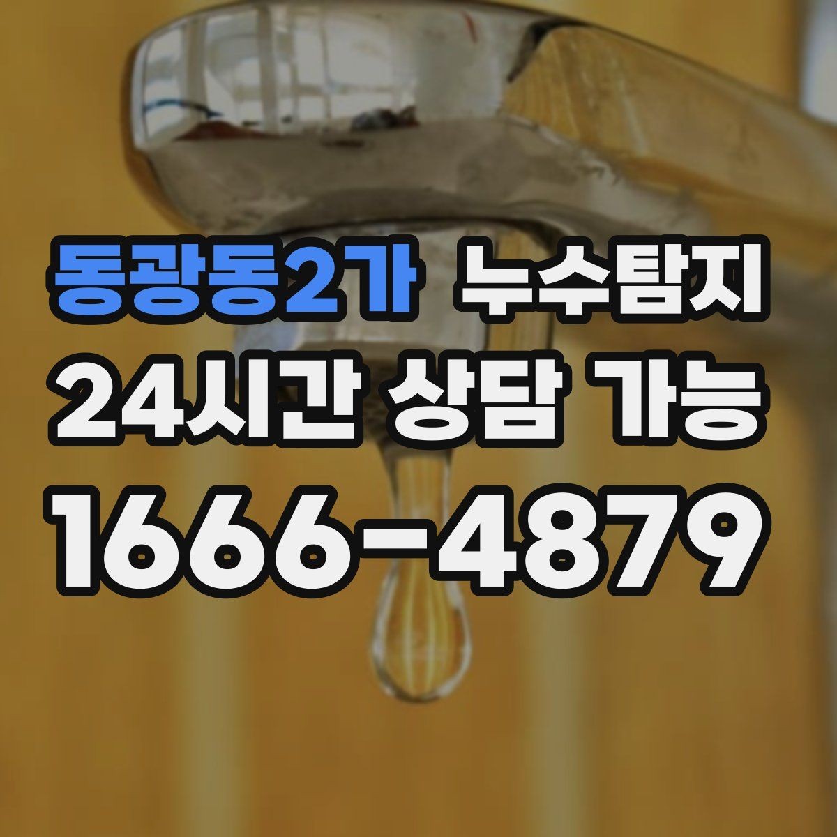 동광동2가 누수탐지 천장에서 떨어진 물방울의 기록