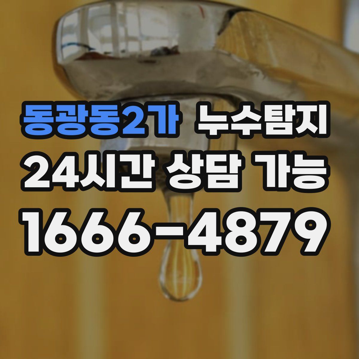 동광동2가 누수탐지