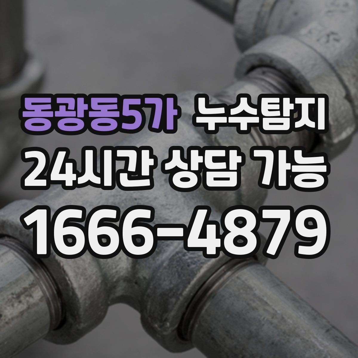 동광동5가 누수탐지 배수 트랩 점검으로 냄새 해결
