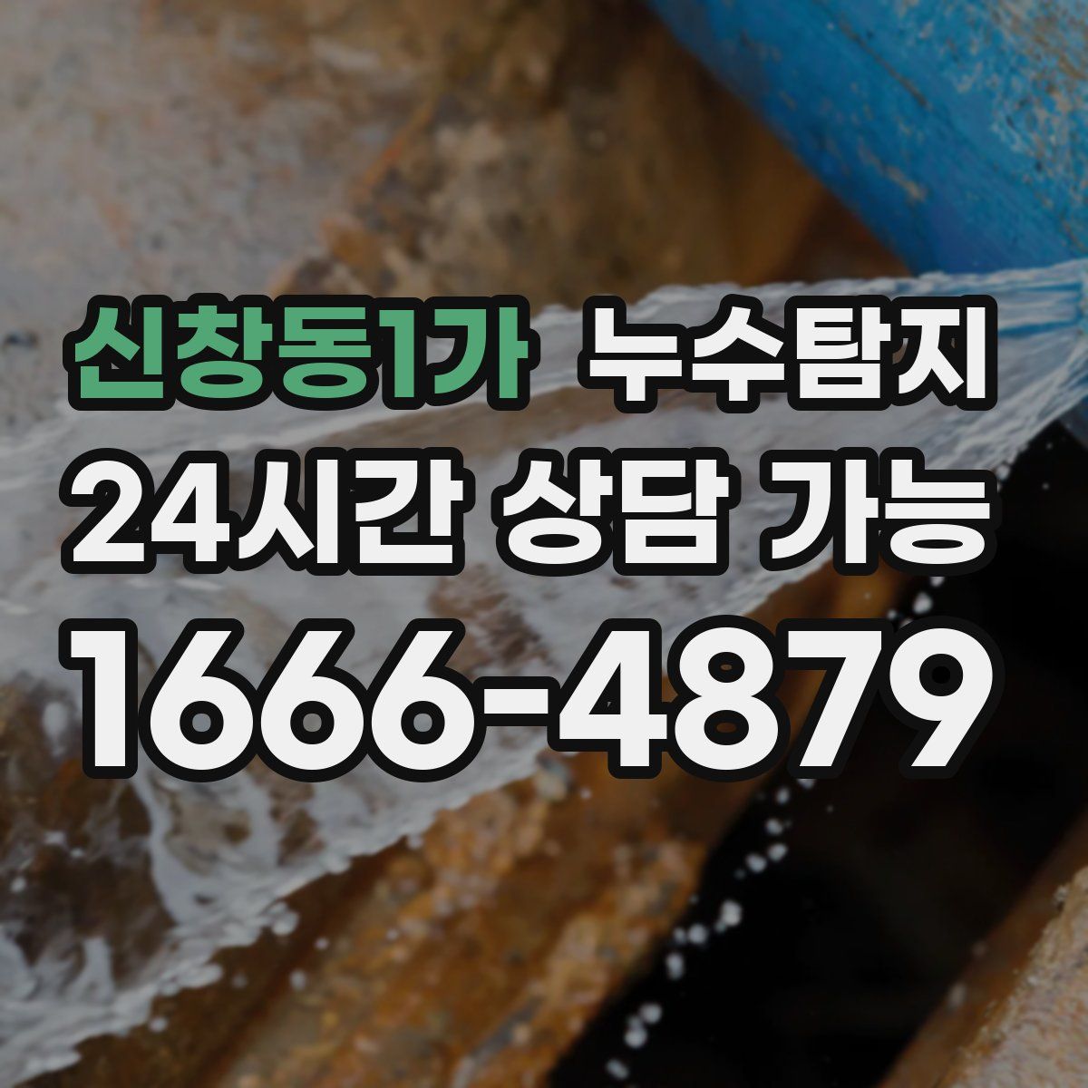 신창동1가 누수탐지