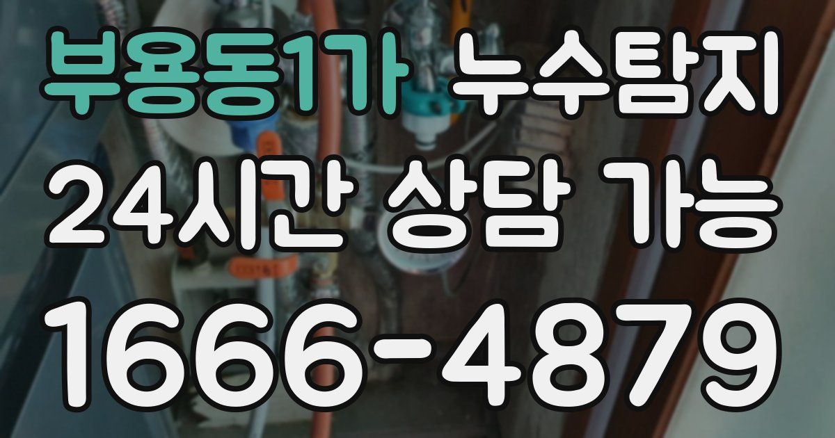 부용동1가 누수