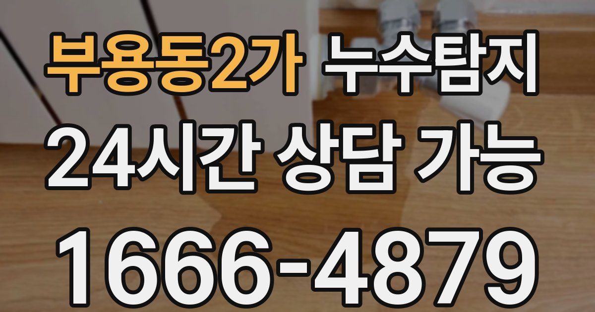 부용동2가 누수