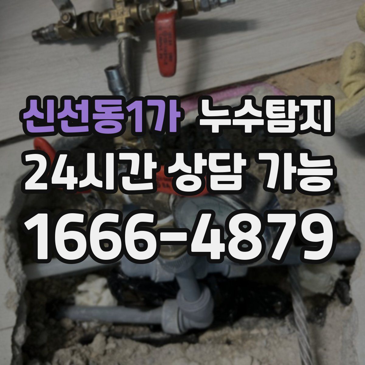 신선동1가 누수탐지