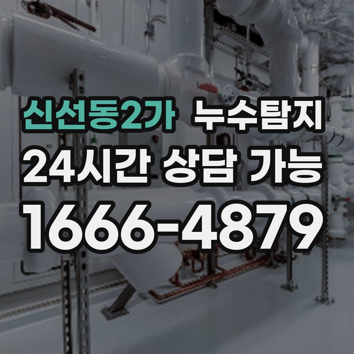 신선동2가 누수탐지