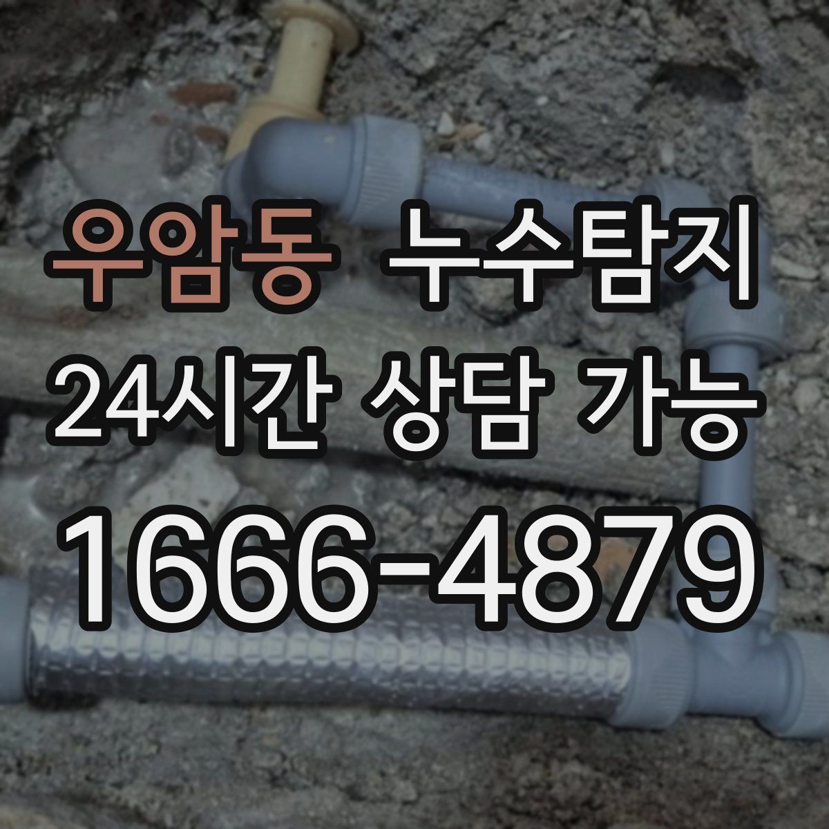 우암동 누수탐지 세탁실 배수 문제 진단 경험