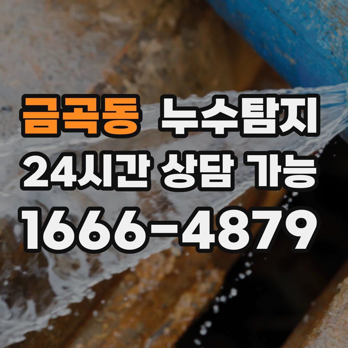 금곡동 누수탐지 견적 비용 등 신속한 해결을 위해서는