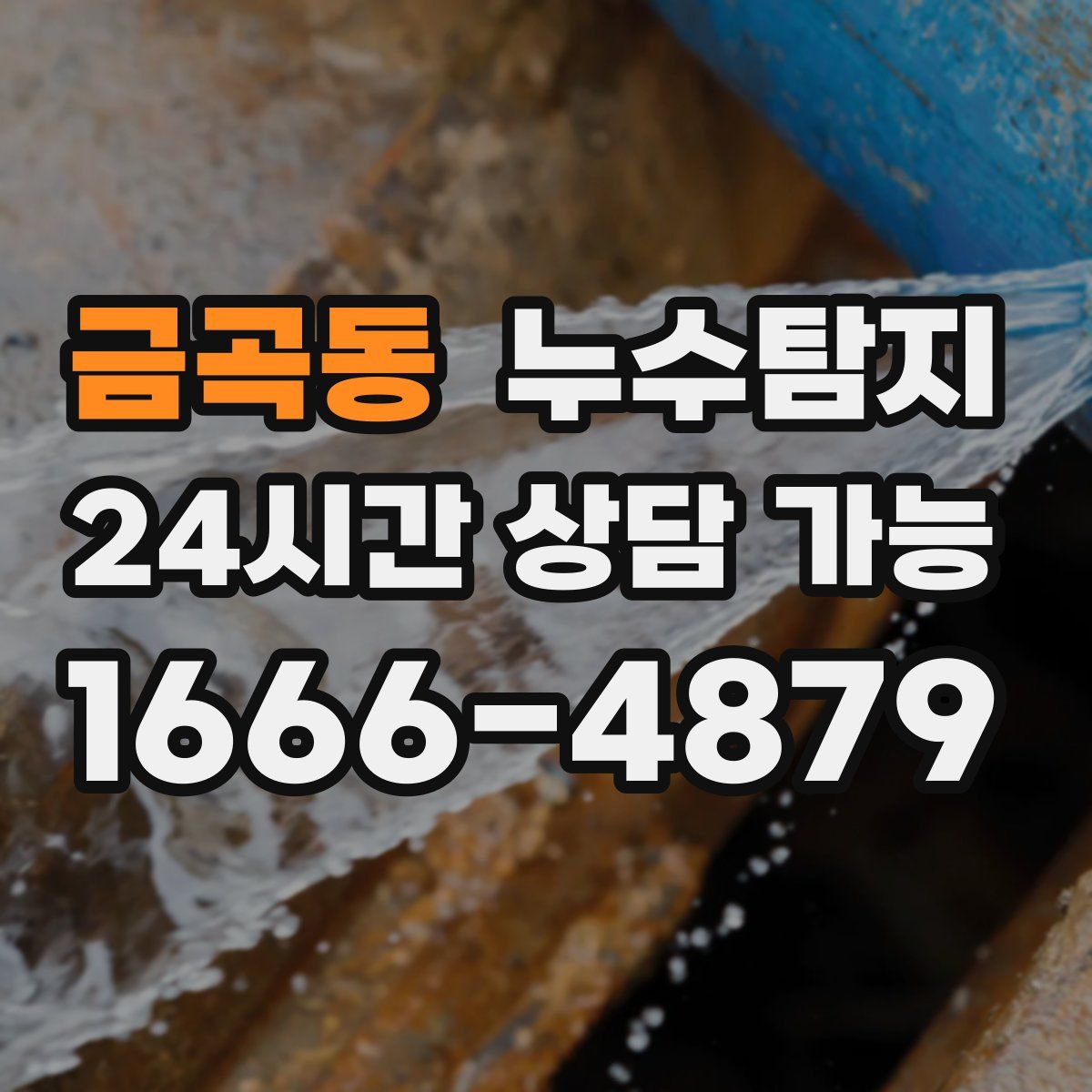 금곡동 누수탐지