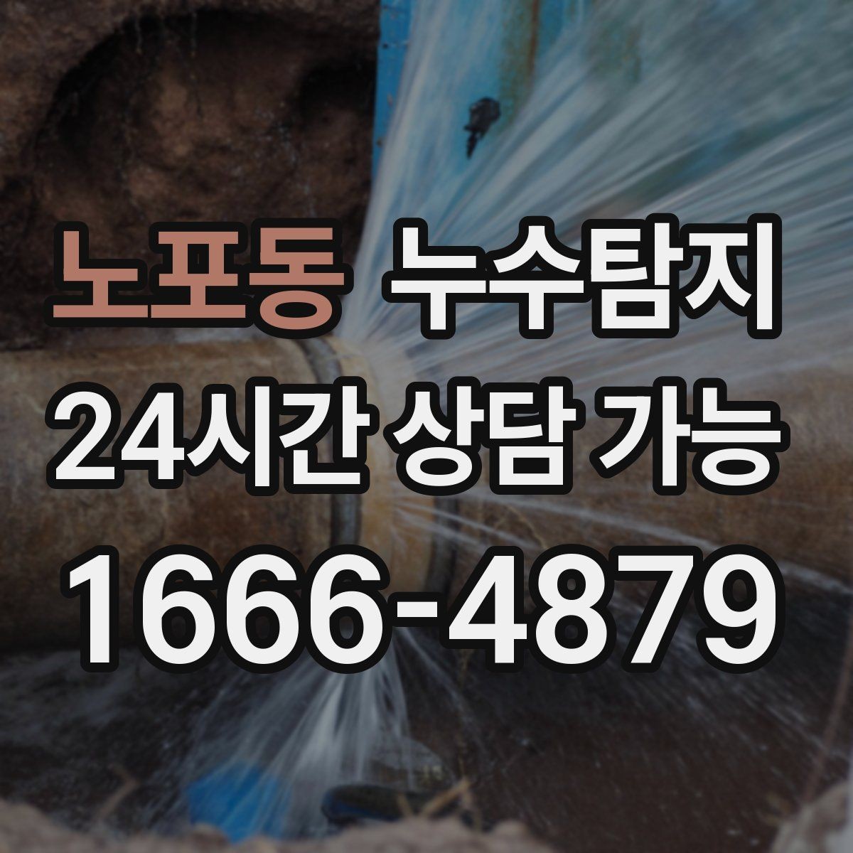 노포동 누수탐지 아이와 반려동물을 위한 안전 점검