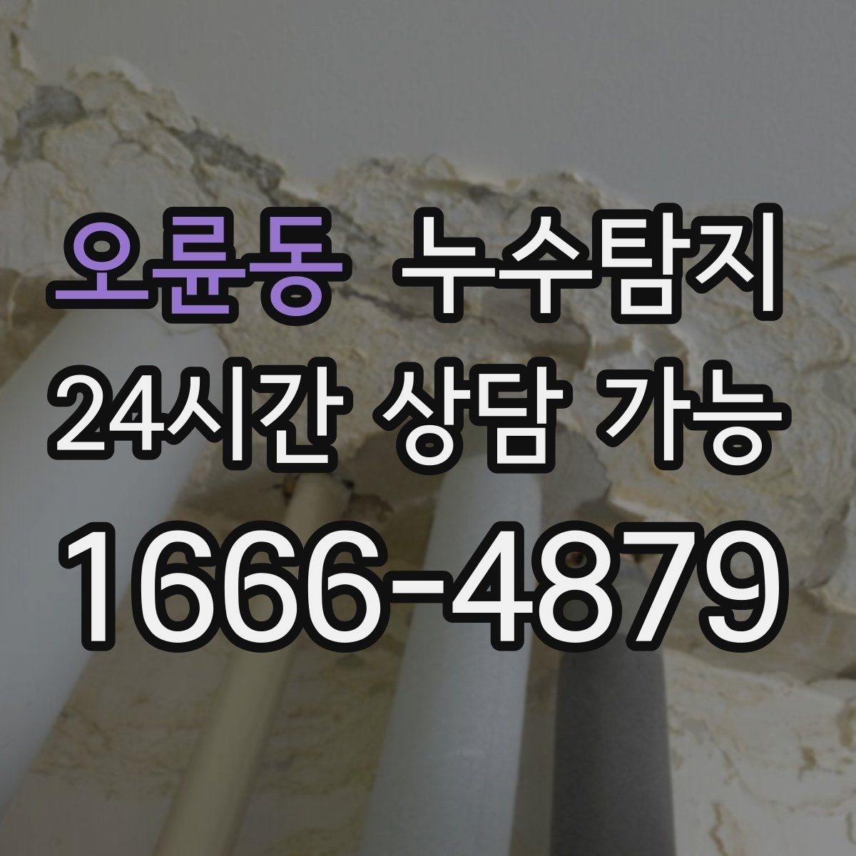오륜동 누수탐지 빠른 방문으로 막은 2차 피해