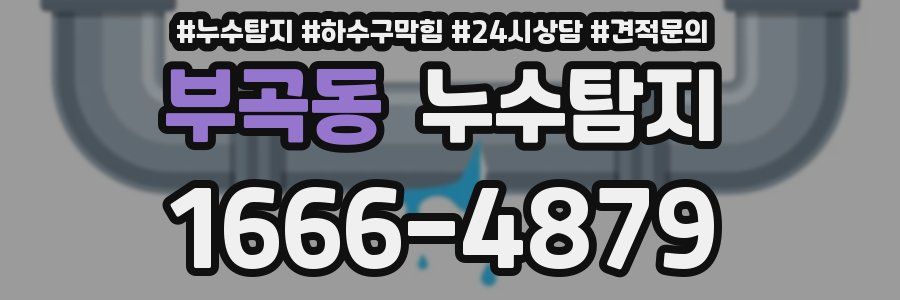 누수탐지