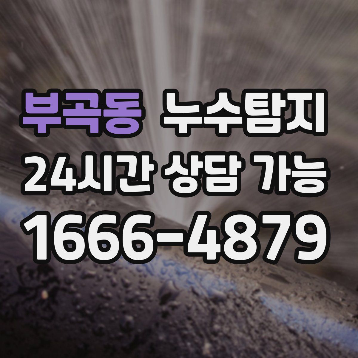 부곡동 누수탐지