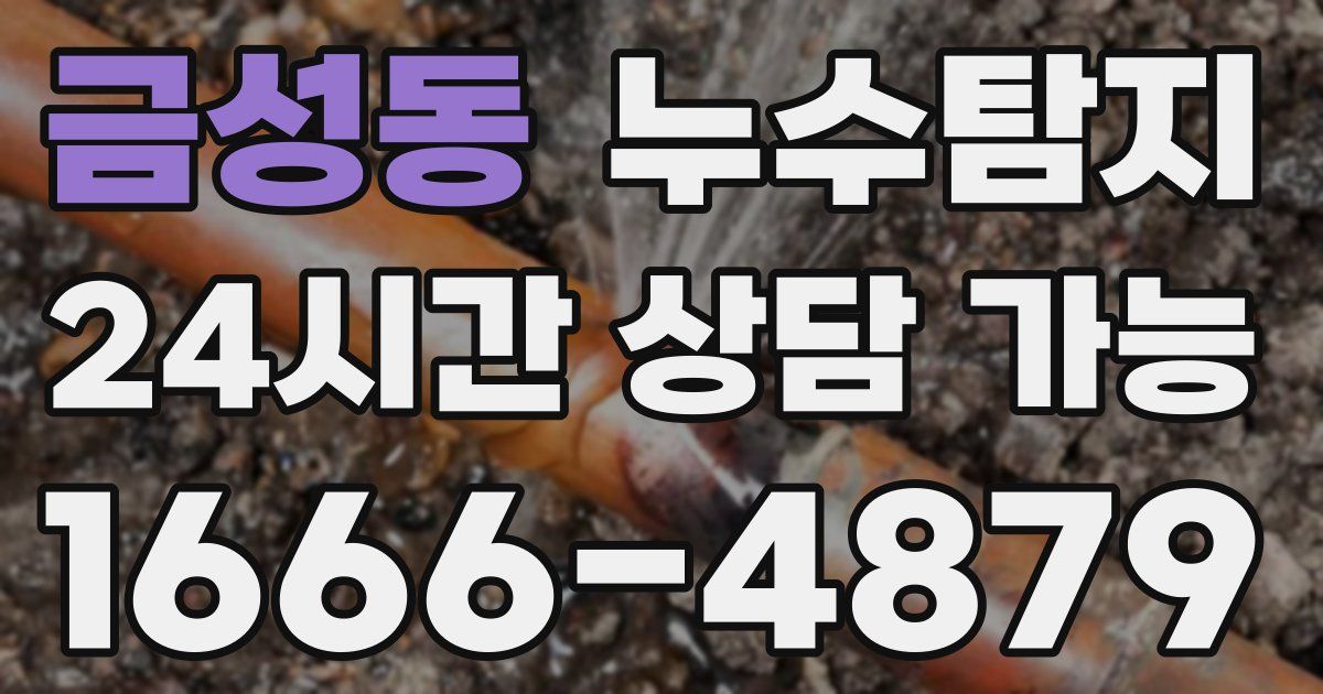 금성동 누수