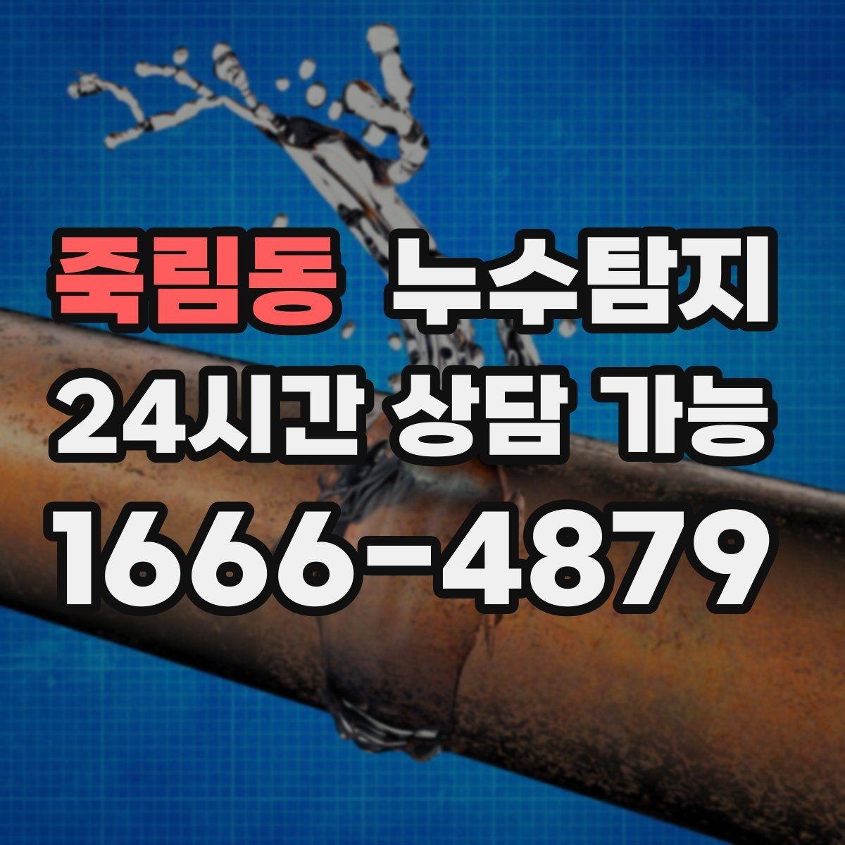 죽림동 누수탐지 시공사와 협업해 본 실제 과정
