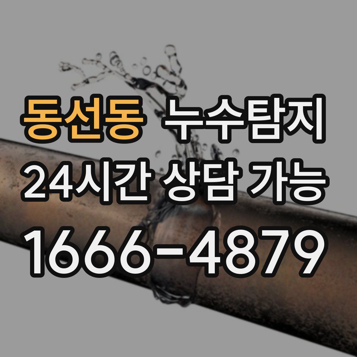 동선동 누수탐지