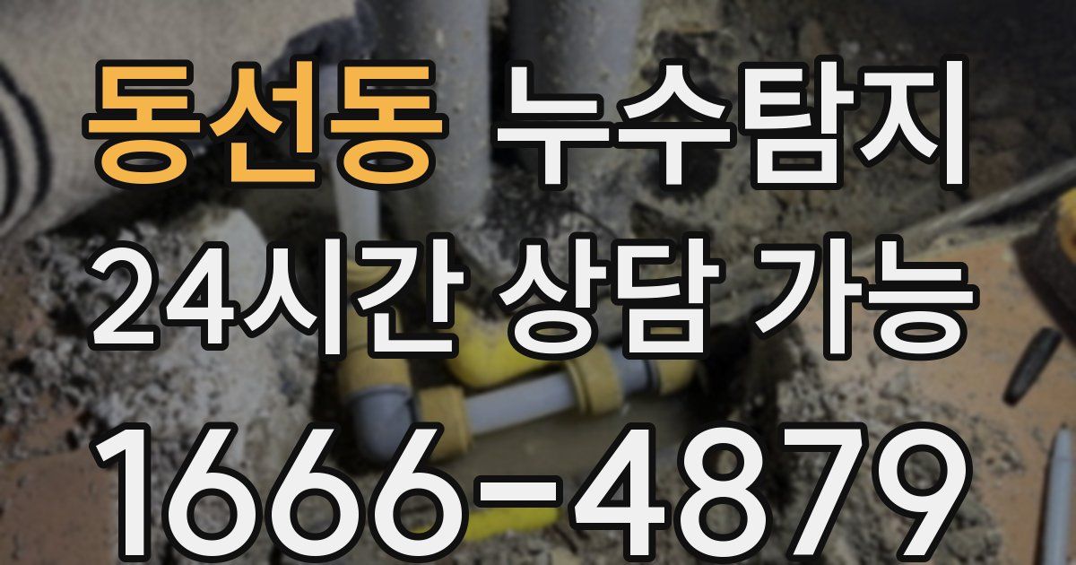 동선동 누수