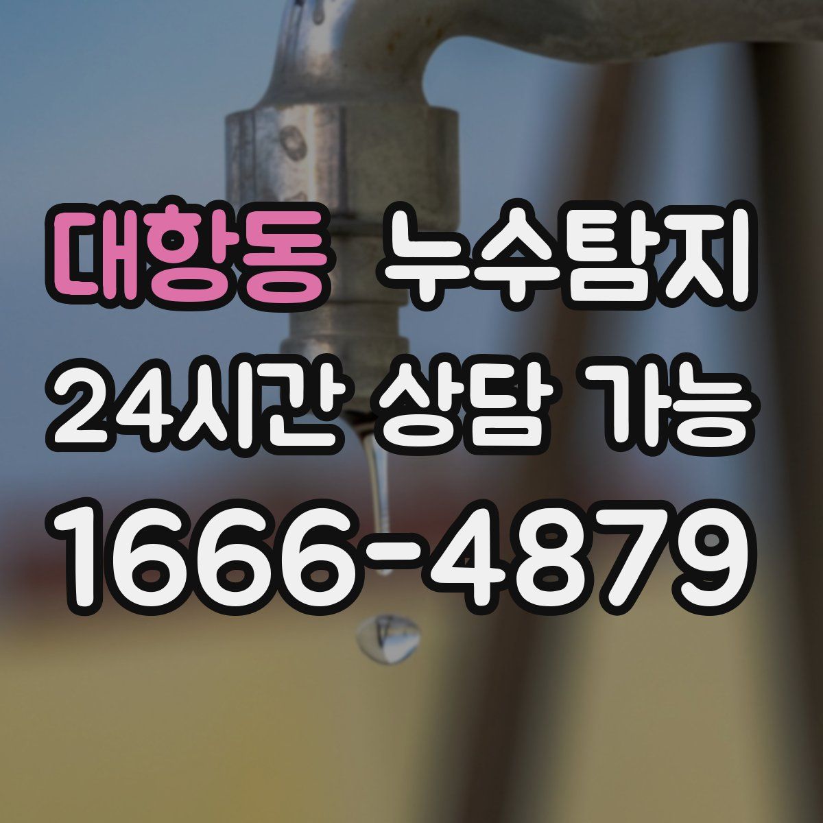 대항동 누수탐지