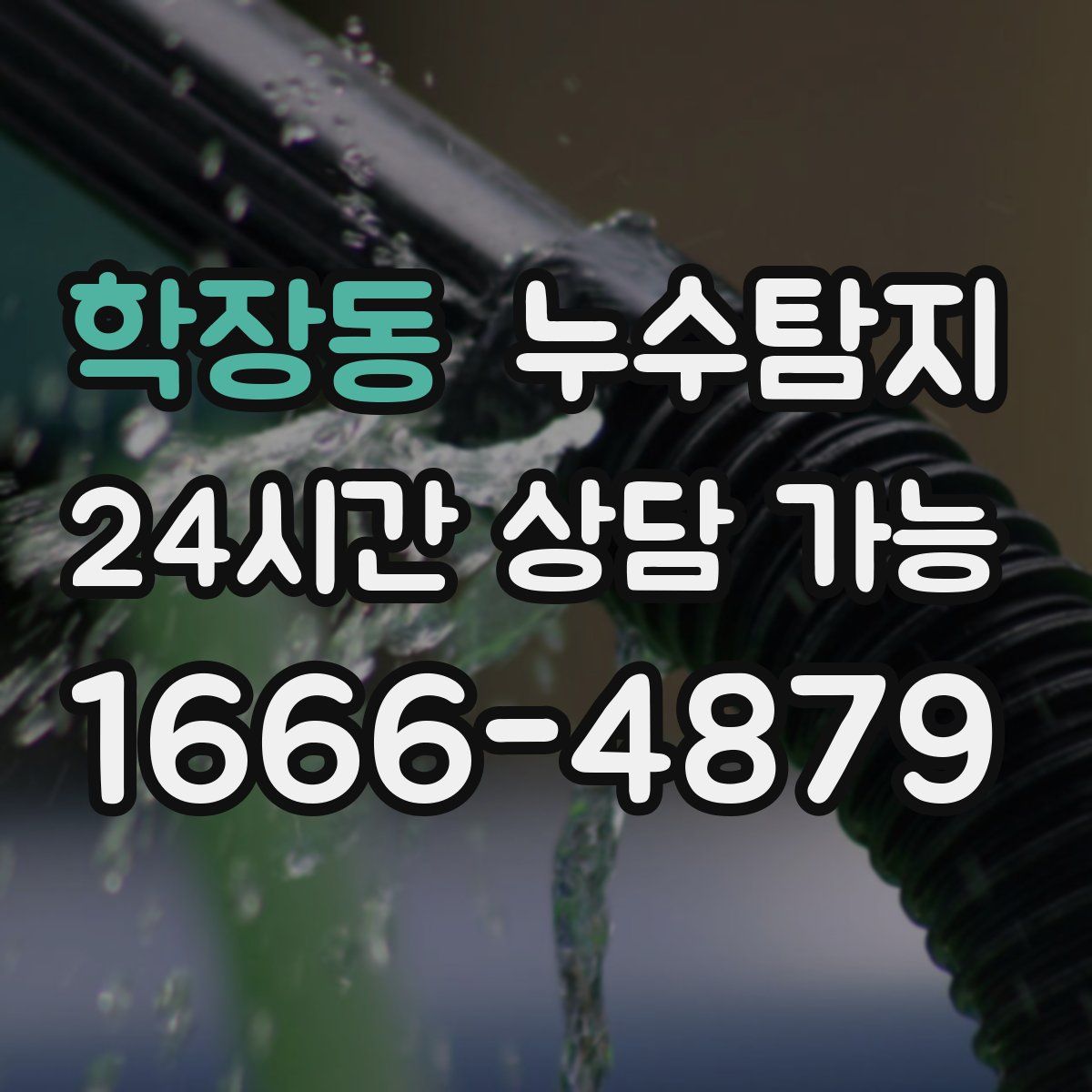 학장동 누수탐지