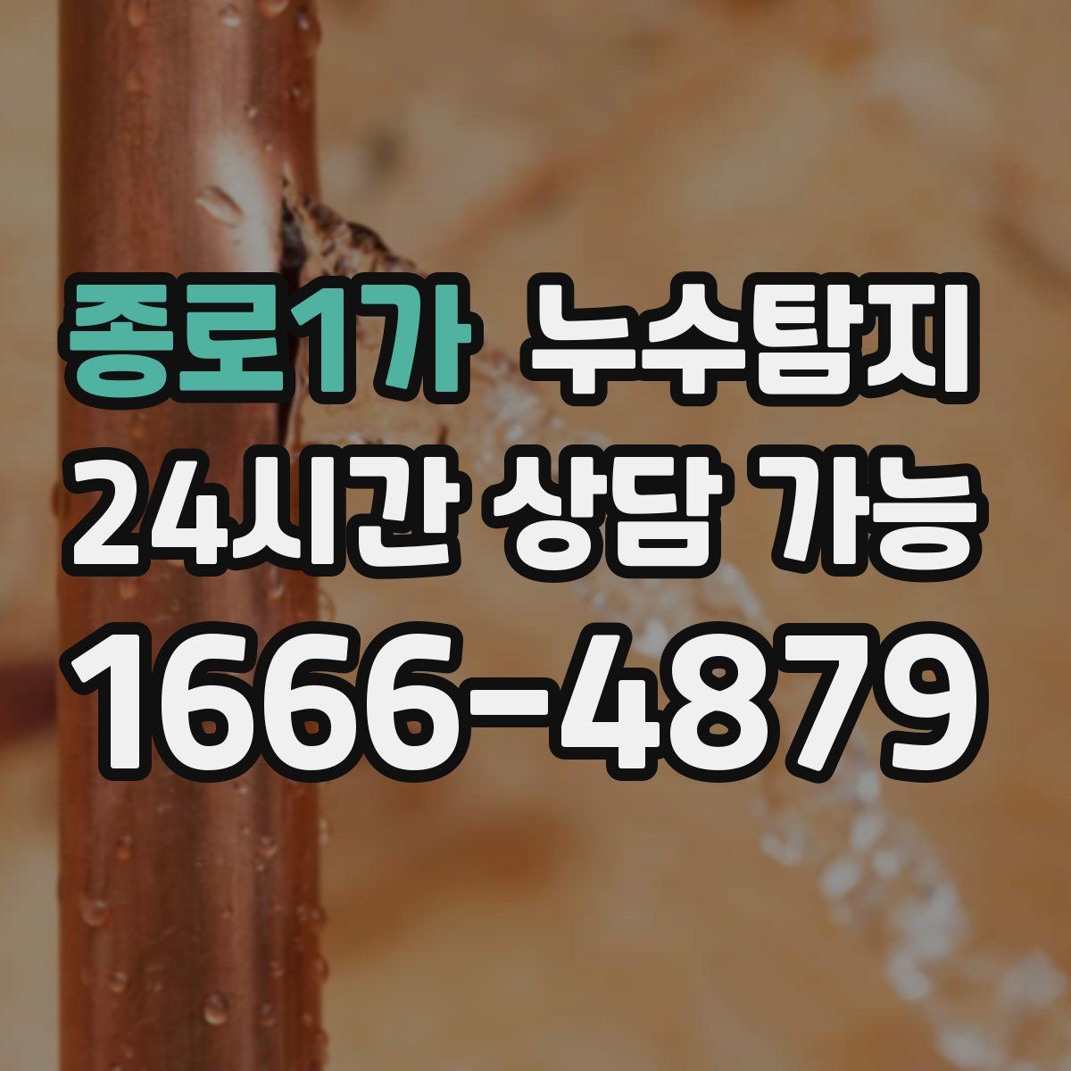 종로1가 누수탐지