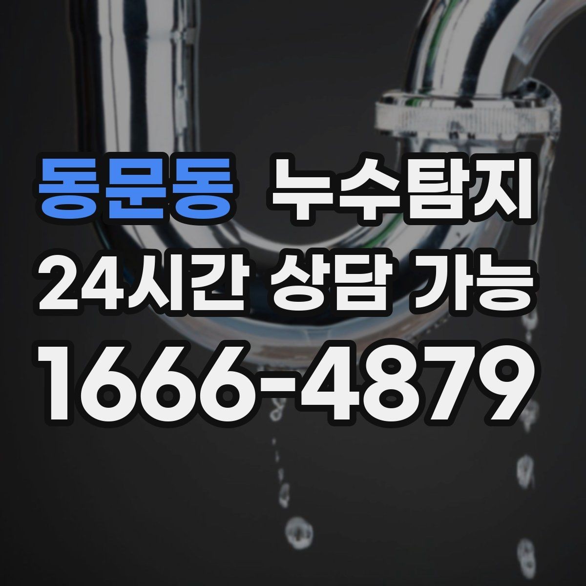 동문동 누수탐지 아파트 빌라 전문 진단