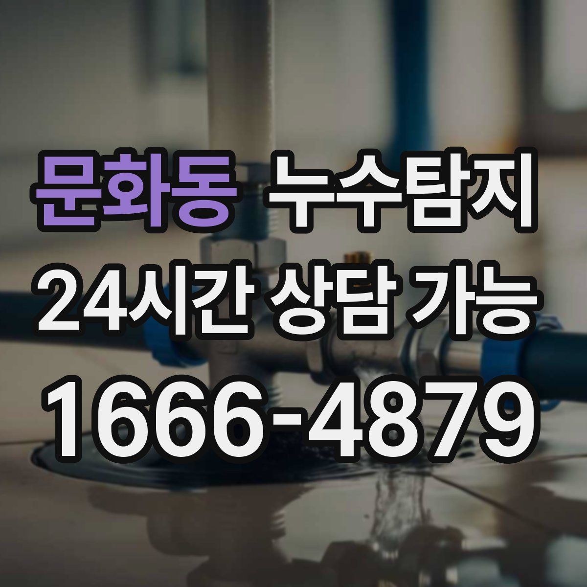 문화동 누수탐지