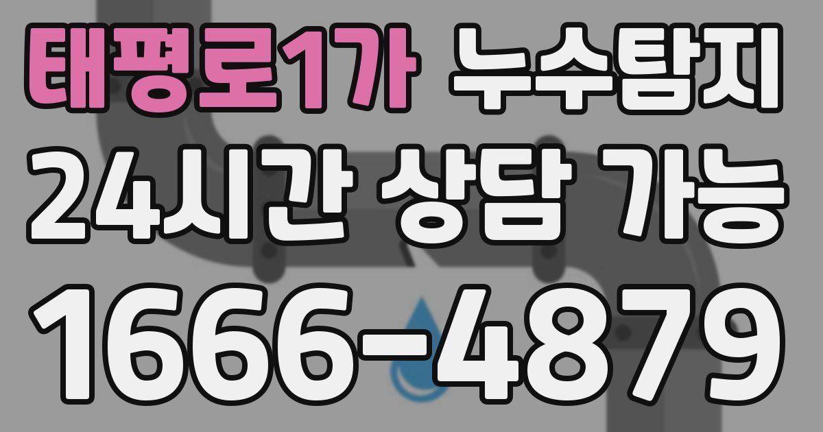 태평로1가 누수