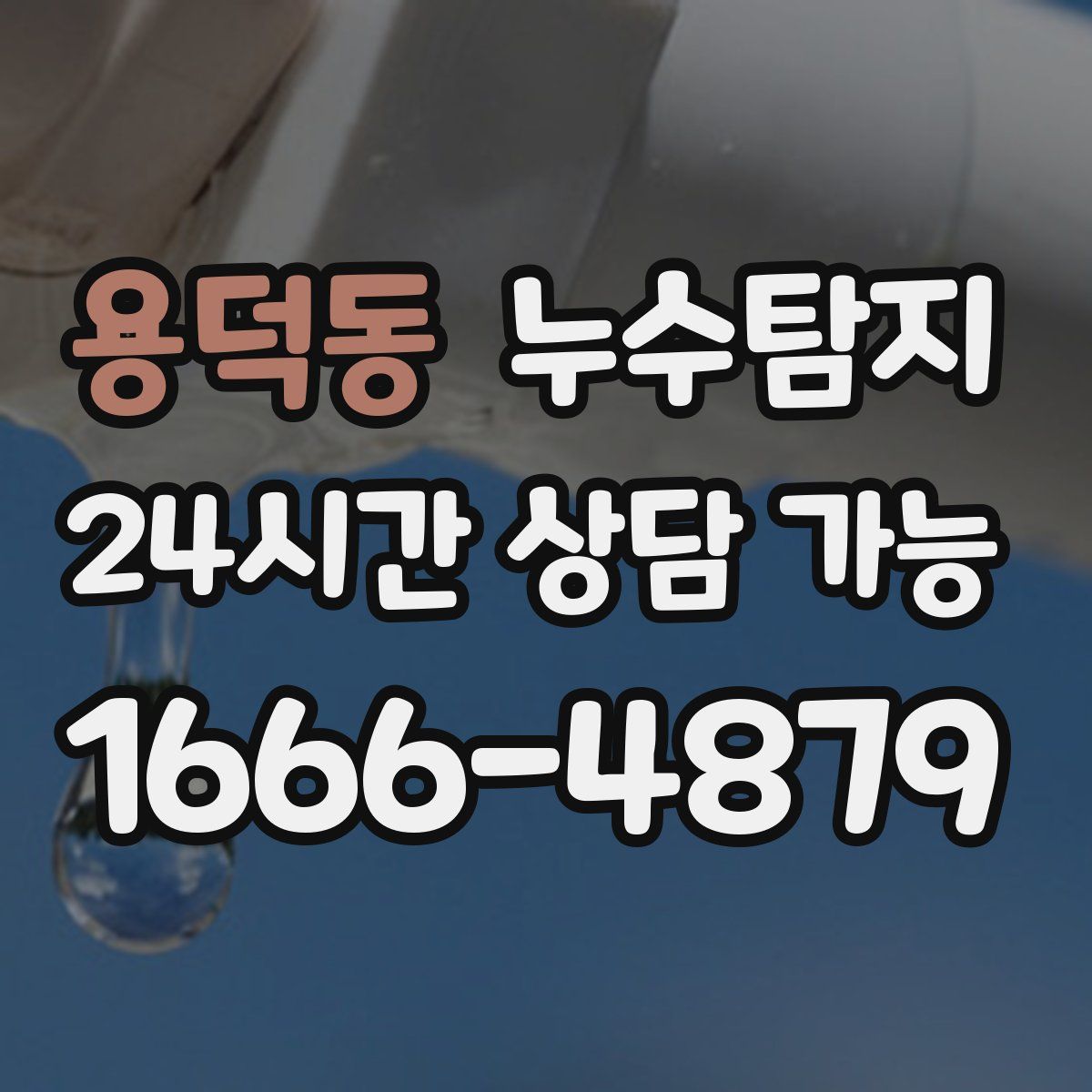 용덕동 누수탐지