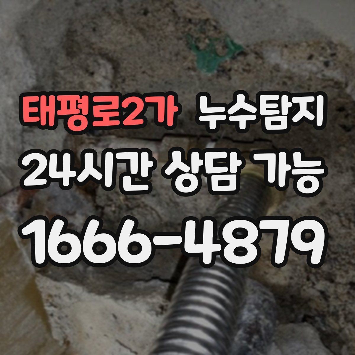 태평로2가 누수탐지 욕실 주방 배관 누수 점검
