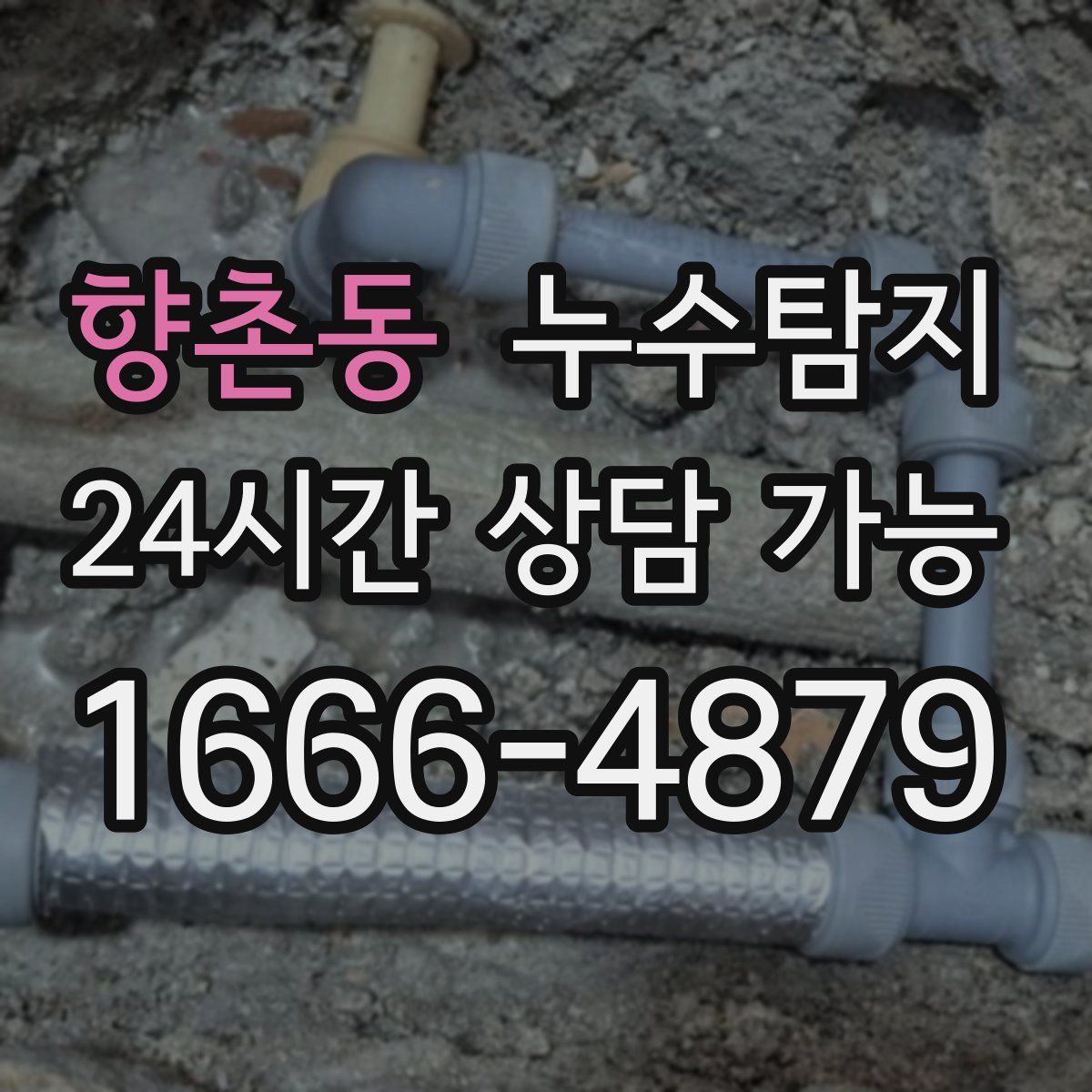 향촌동 누수탐지