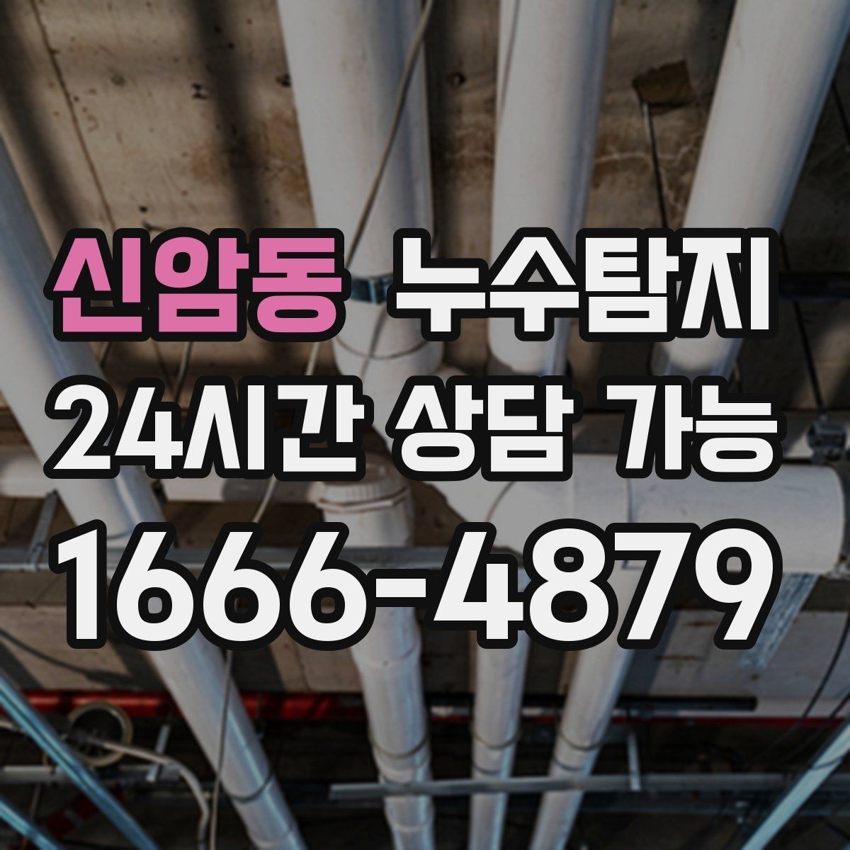 신암동 누수탐지 욕실 실리콘 노화 점검 에피소드