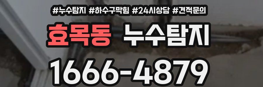 누수탐지