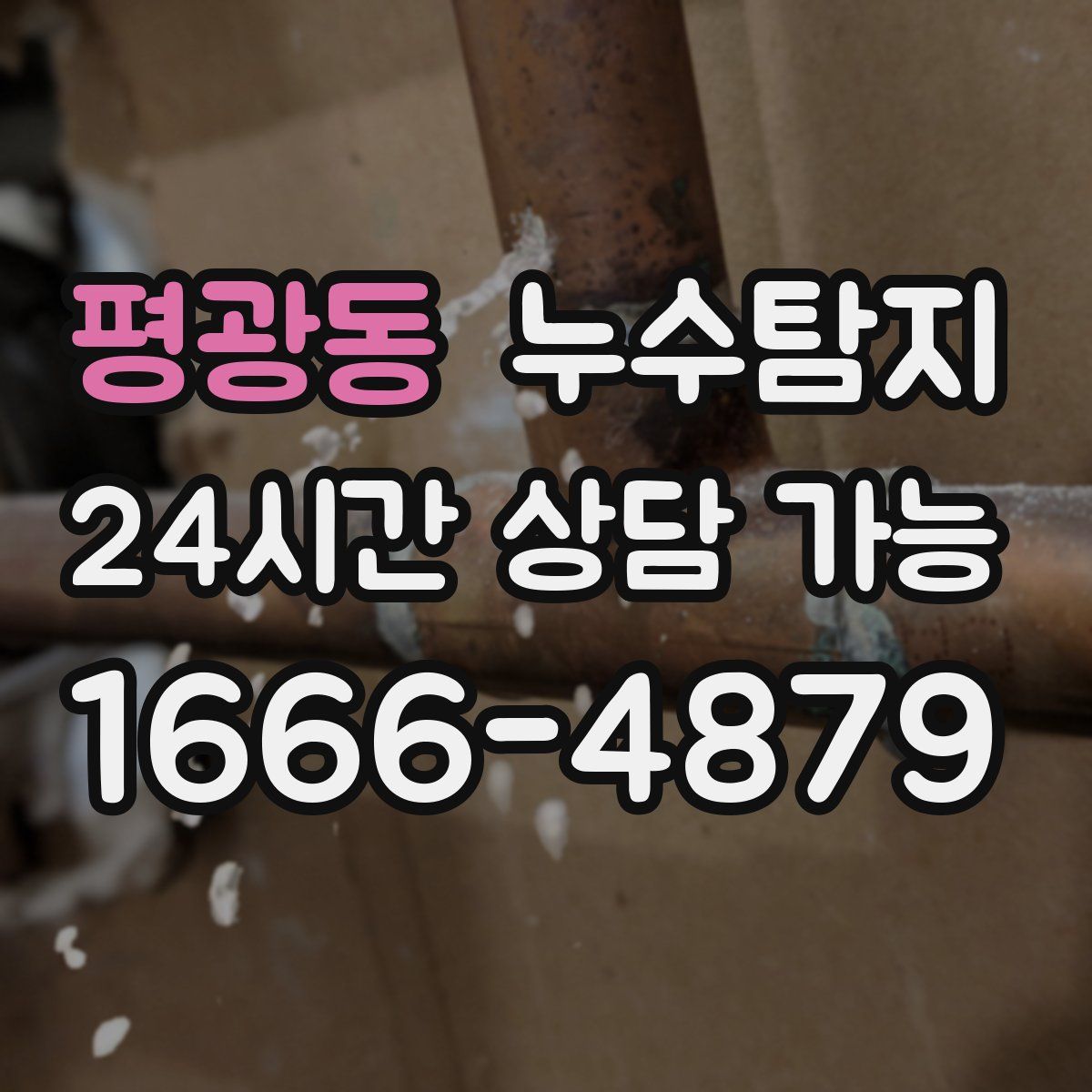 평광동 누수탐지