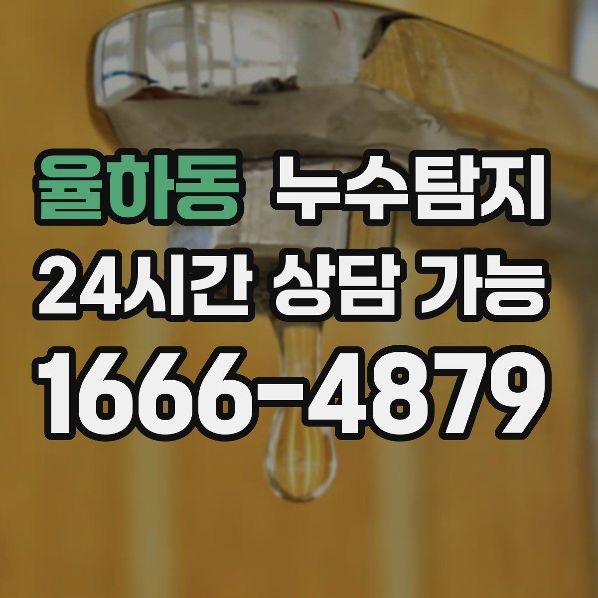 율하동 누수탐지 공사 후 재발을 막는 사후 관리