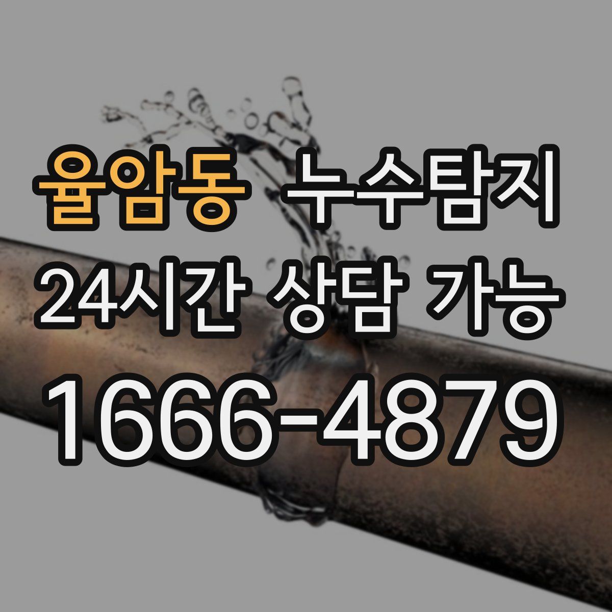 율암동 누수탐지