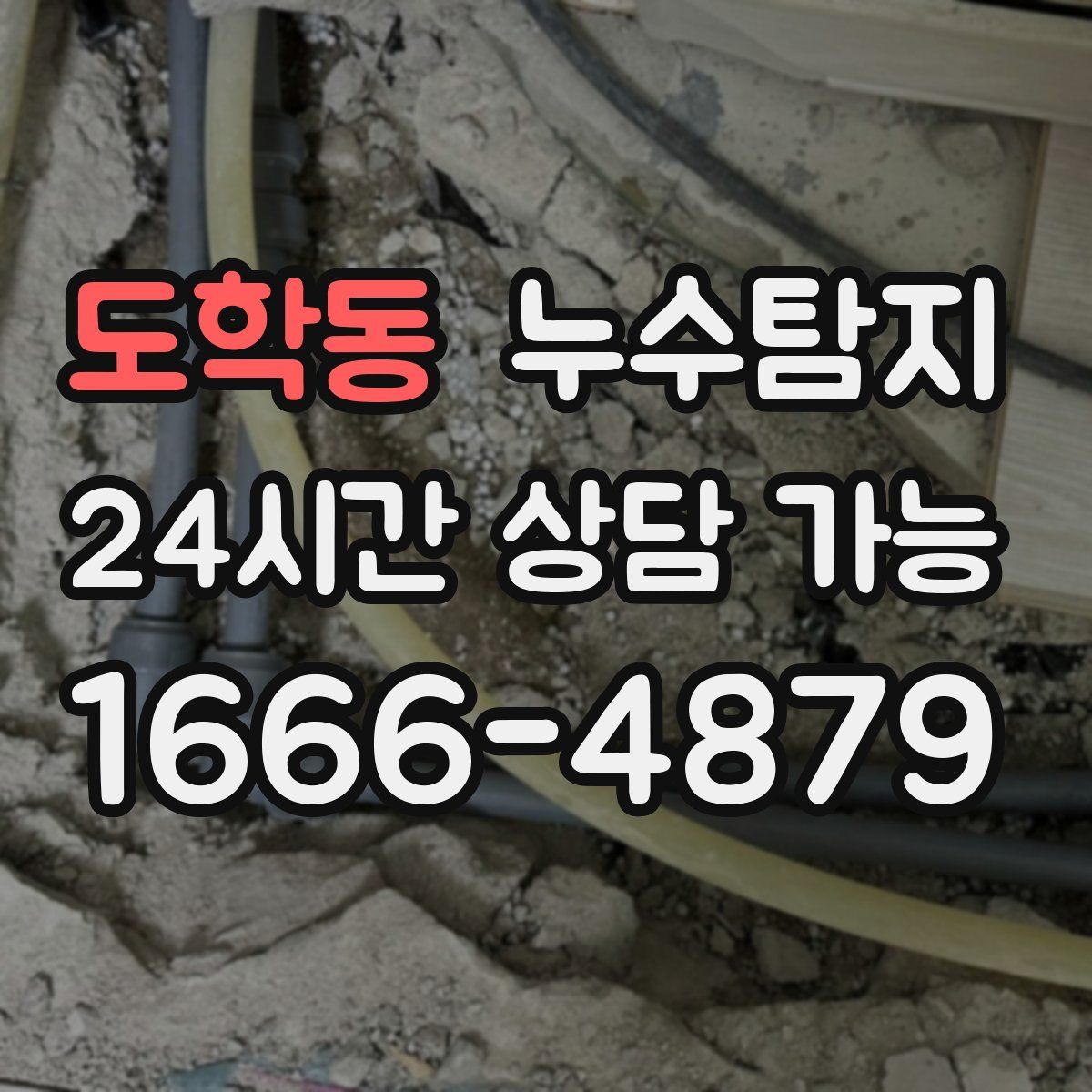 도학동 누수탐지