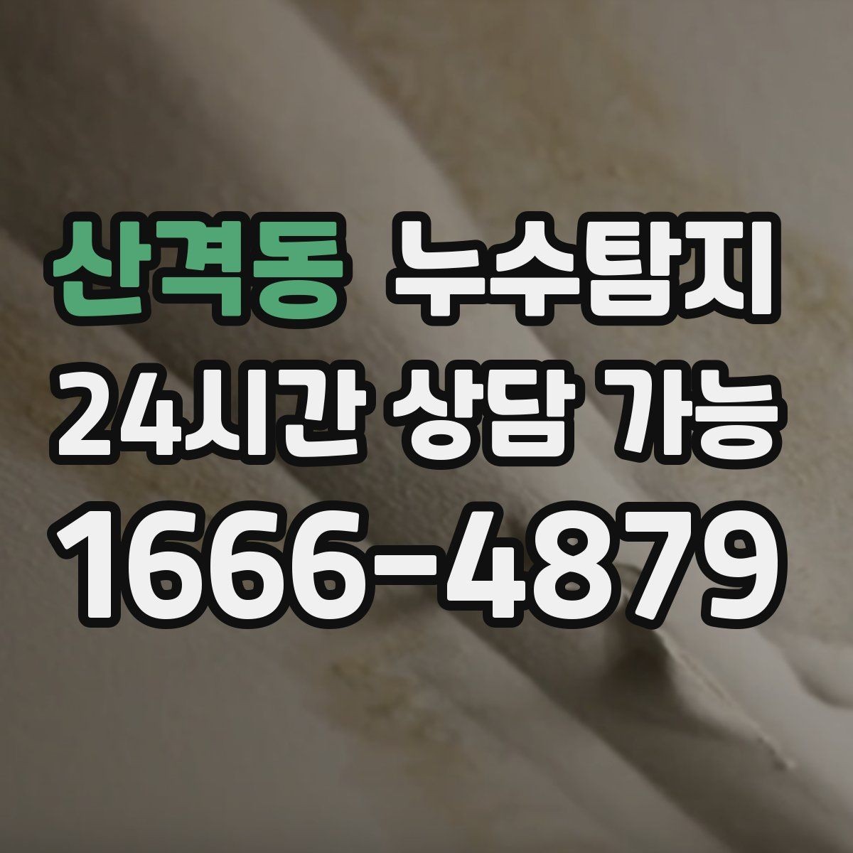 산격동 누수탐지 세탁실 배수 문제 진단 경험