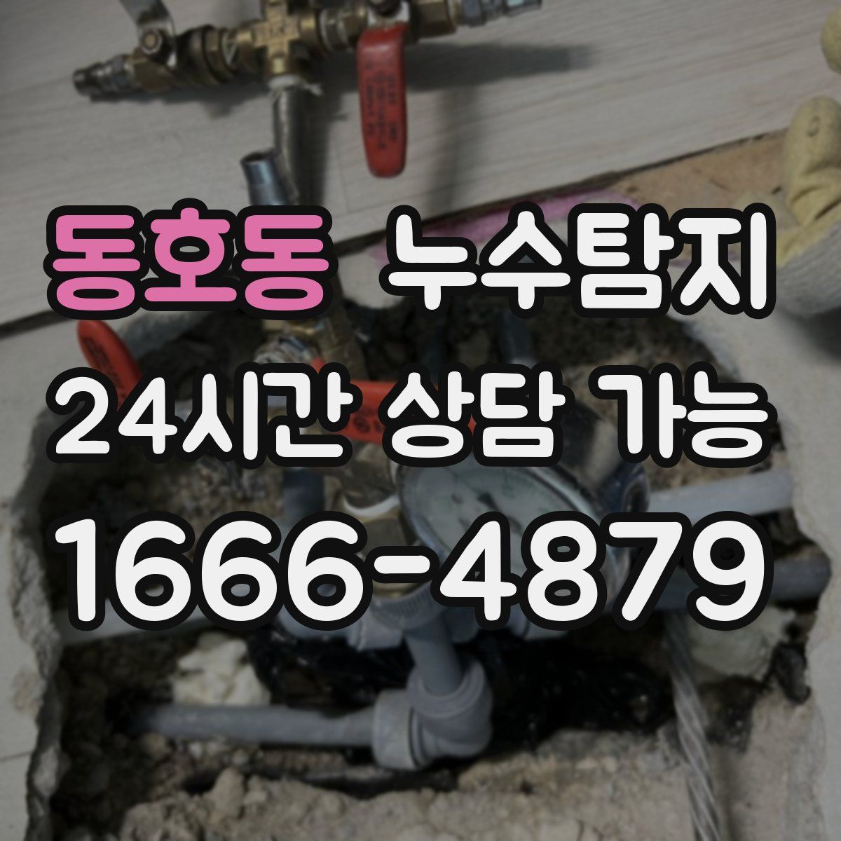 동호동 누수탐지