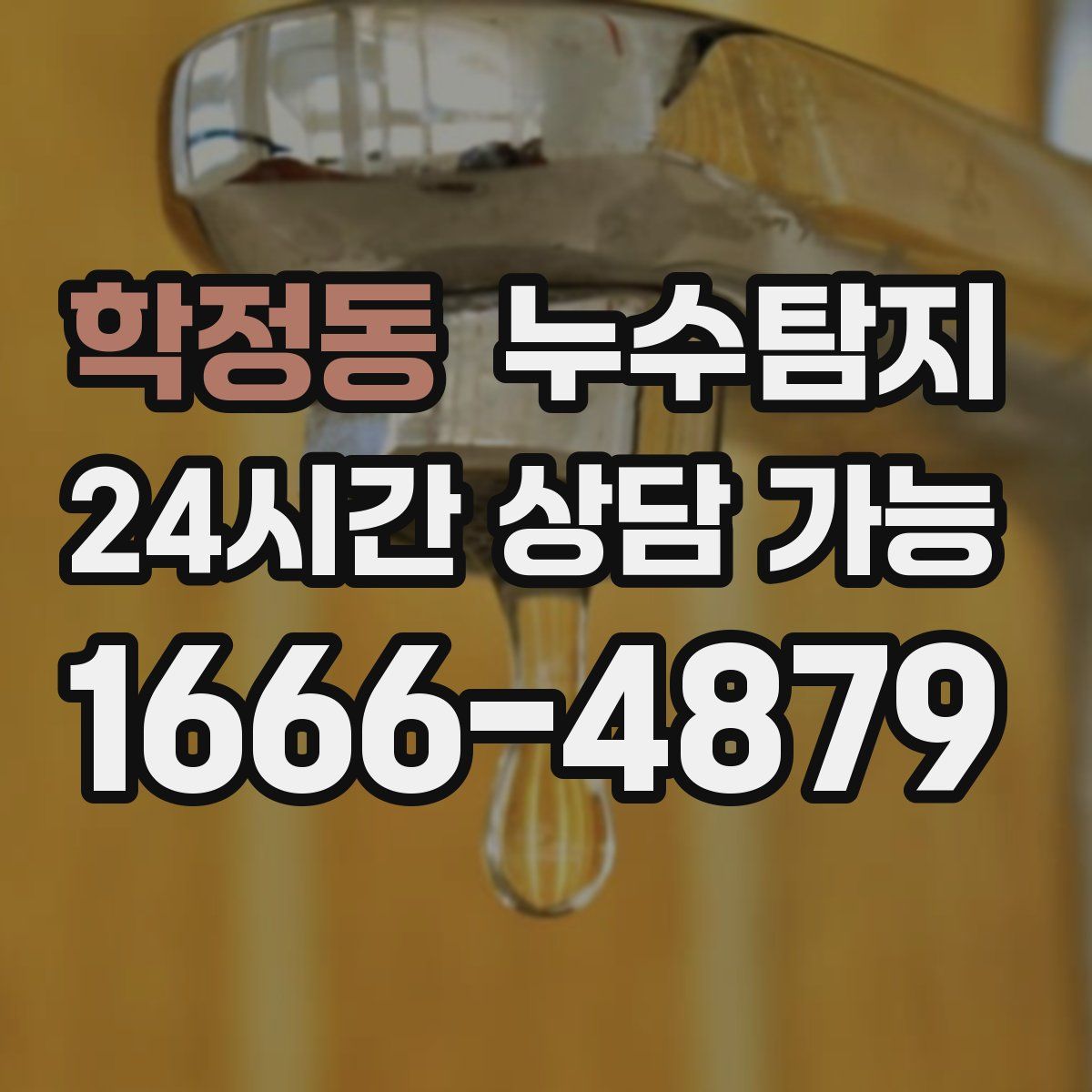 학정동 누수탐지