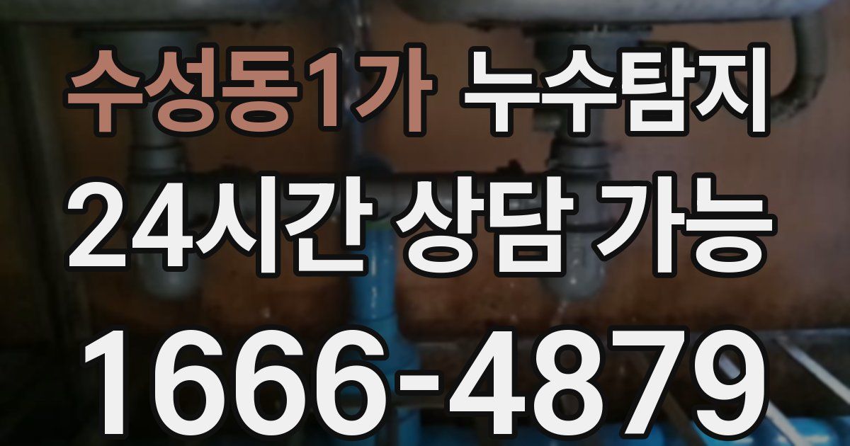 수성동1가 누수