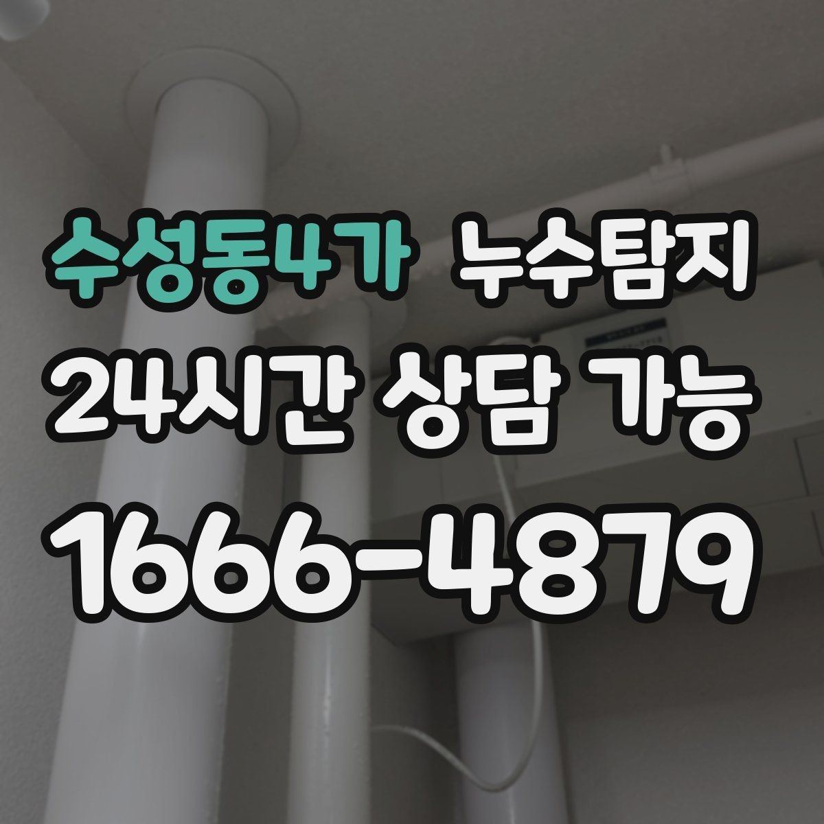 수성동4가 누수탐지 실내 곰팡이와 악취 방지를 위한 방법