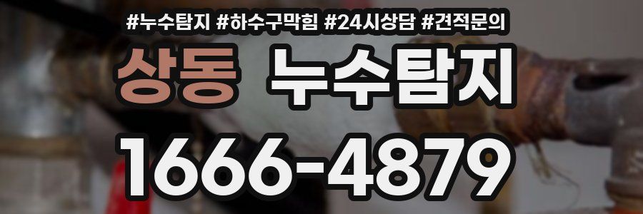 누수탐지