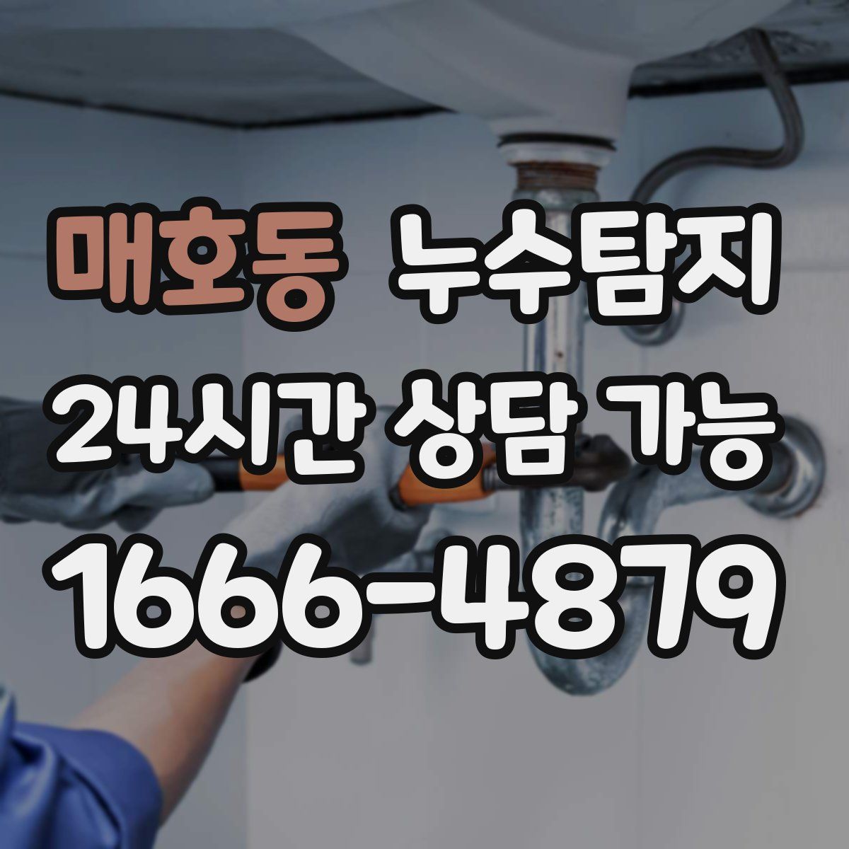 매호동 누수탐지