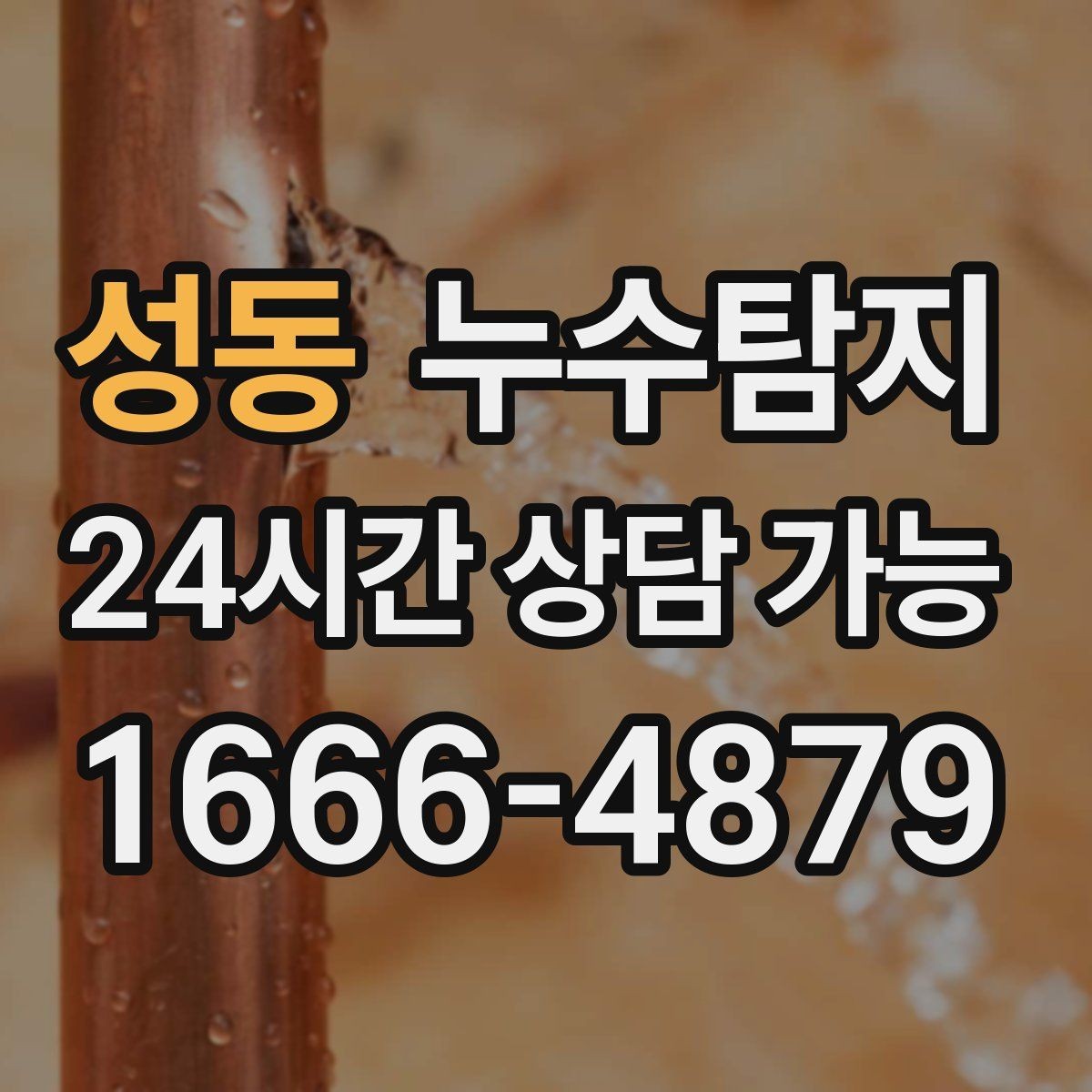성동 누수탐지 현관 주변 습기 원인 제거 과정