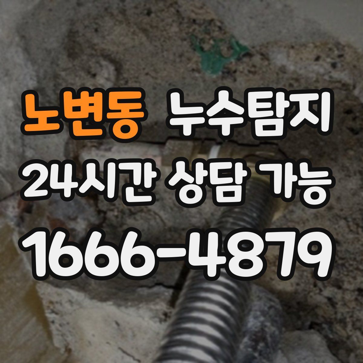 노변동 누수탐지