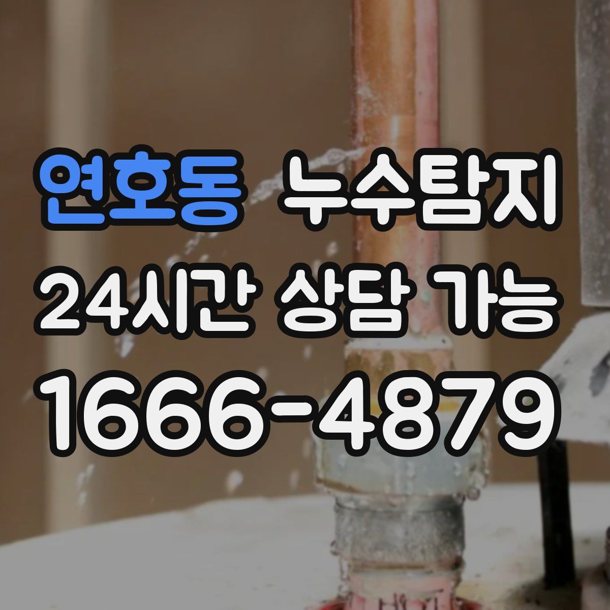 연호동 누수탐지