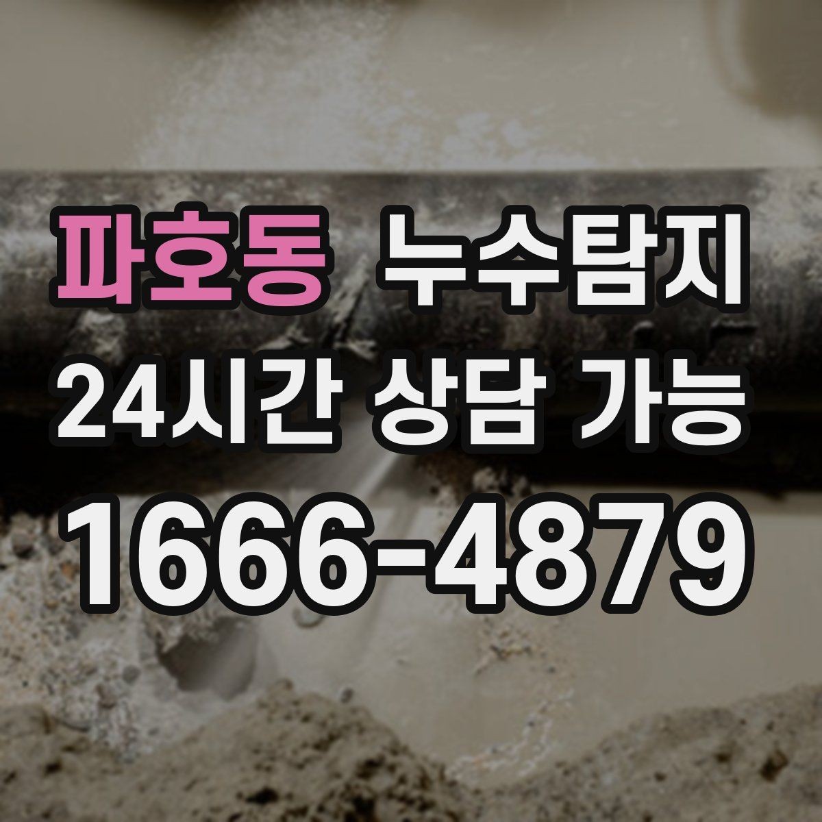 파호동 누수탐지 셀프 점검 후 전문가 호출 타이밍