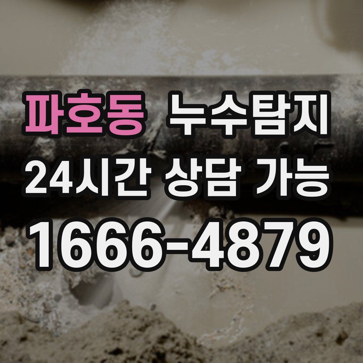 파호동 누수탐지