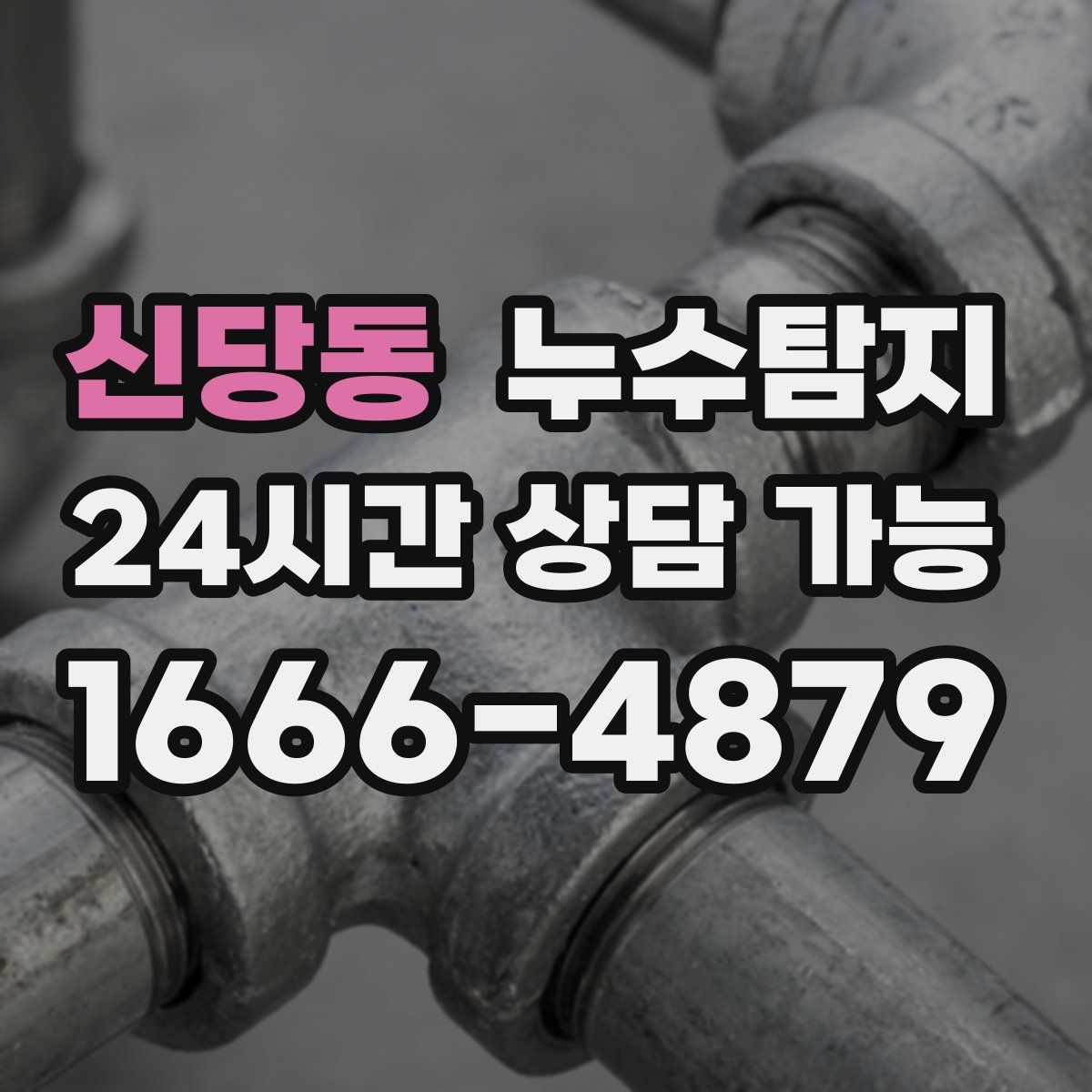 신당동 누수탐지