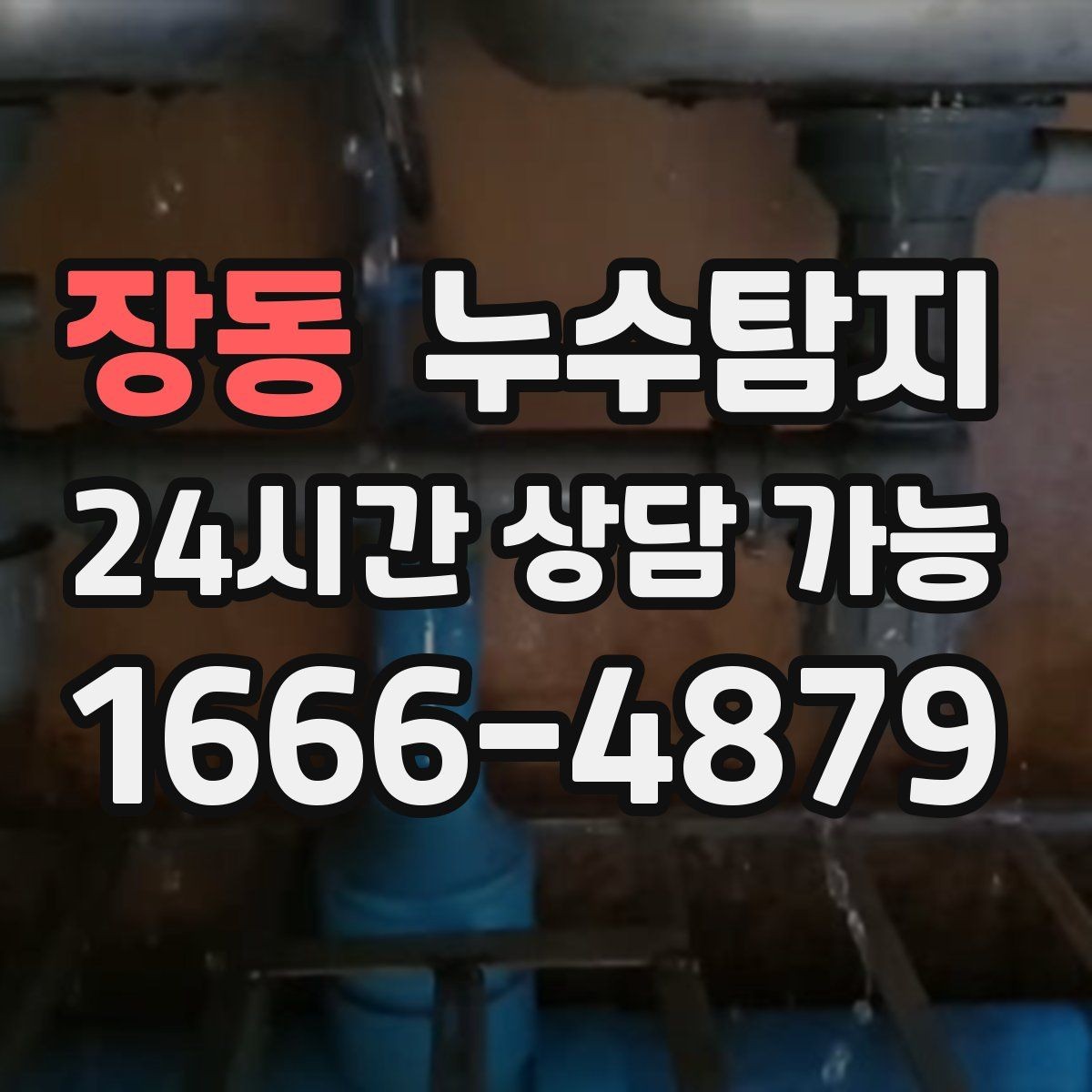 장동 누수탐지 이웃과 원만히 해결한 사례